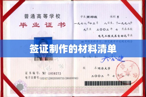 日照签证制作的材料清单