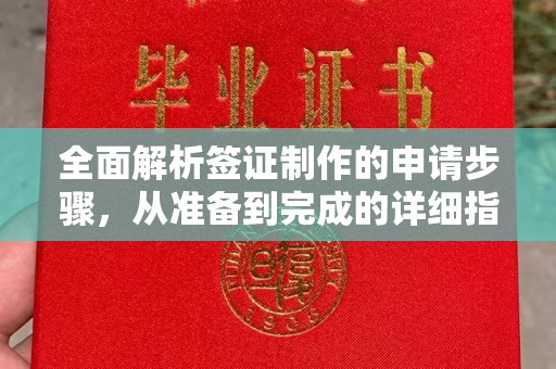 日照全面解析签证制作的申请步骤，从准备到完成的详细指南