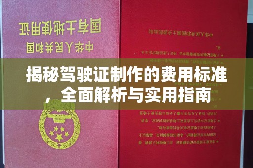 日照揭秘驾驶证制作的费用标准，全面解析与实用指南