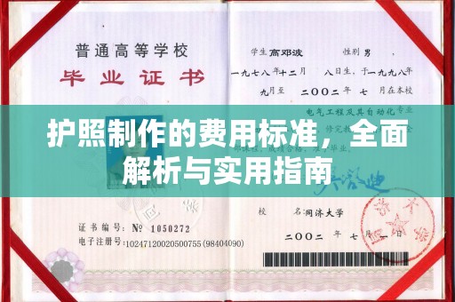 日照护照制作的费用标准，全面解析与实用指南