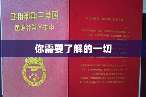 日照你需要了解的一切