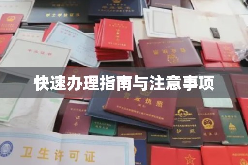 日照快速办理指南与注意事项